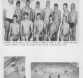 water-polo-01_0