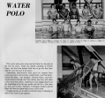 water-polo-1_0